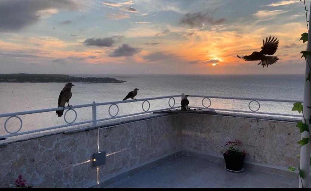 Penthouse 360 Cartagena 아파트 외부 사진